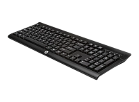 HP Wireless Keyboard K2500